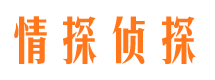 大兴安岭市私家侦探